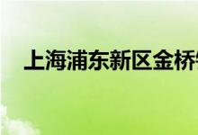 上海浦东新区金桥镇三桥小学的地址在哪