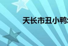 天长市丑小鸭幼儿园的地址在哪