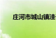 庄河市城山镇洼子幼儿园的地址在哪
