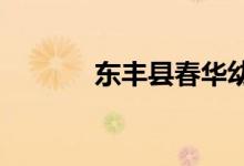 东丰县春华幼儿园的地址在哪