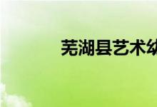 芜湖县艺术幼儿园的地址在哪
