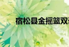 宿松县金摇篮双语幼儿园的地址在哪