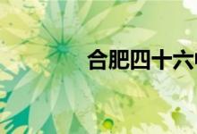 合肥四十六中学的地址在哪