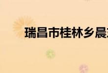 瑞昌市桂林乡晨东幼儿园的地址在哪