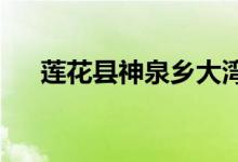 莲花县神泉乡大湾村幼儿园的地址在哪