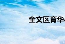 奎文区育华小学的地址在哪