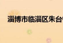 淄博市临淄区朱台镇中心小学的地址在哪