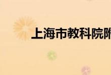 上海市教科院附中分校的地址在哪