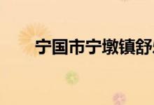 宁国市宁墩镇舒乐幼儿园的地址在哪