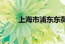 上海市浦东东荷幼儿园的地址在哪
