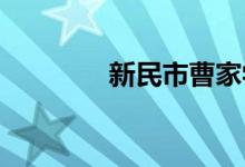 新民市曹家学校的地址在哪
