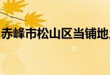 赤峰市松山区当铺地乡北道幼儿园的地址在哪