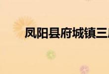 凤阳县府城镇三府幼儿园的地址在哪