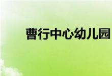曹行中心幼儿园（总园）的地址在哪