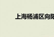 上海杨浦区向阳幼儿园的地址在哪