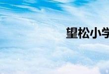 望松小学的地址在哪