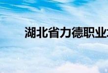 湖北省力德职业培训中心的地址在哪