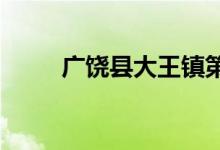 广饶县大王镇第九小学的地址在哪