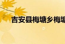 吉安县梅塘乡梅塘村幼儿园的地址在哪