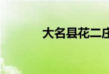 大名县花二庄小学的地址在哪