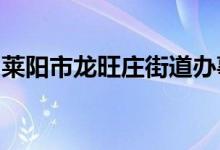 莱阳市龙旺庄街道办事处中心小学的地址在哪