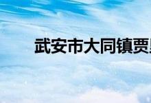 武安市大同镇贾里店小学的地址在哪