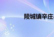 陵城镇辛庄小学的地址在哪