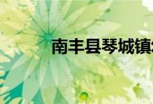 南丰县琴城镇幼儿园的地址在哪