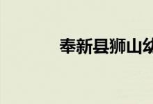 奉新县狮山幼儿园的地址在哪