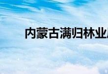 内蒙古满归林业局幼儿园的地址在哪
