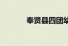 奉贤县四团幼儿园的地址在哪