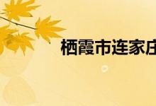 栖霞市连家庄小学的地址在哪