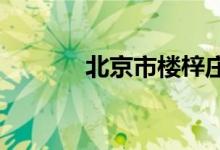 北京市楼梓庄中学的地址在哪