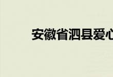 安徽省泗县爱心幼儿园的地址在哪