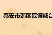 泰安市郊区范镇戚台头村幼儿园的地址在哪