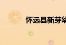 怀远县新芽幼儿园的地址在哪