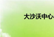 大沙沃中心小学的地址在哪