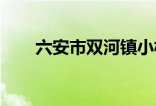 六安市双河镇小松幼儿园的地址在哪
