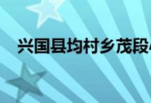兴国县均村乡茂段小学幼儿园的地址在哪