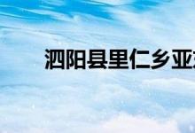泗阳县里仁乡亚东幼儿园的地址在哪