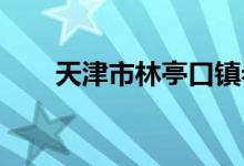 天津市林亭口镇希望小学的地址在哪