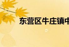 东营区牛庄镇中心初中的地址在哪