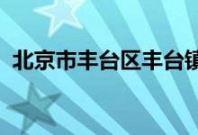 北京市丰台区丰台镇正阳幼儿园的地址在哪