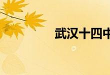 武汉十四中学的地址在哪