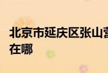 北京市延庆区张山营镇靳家堡中心小学的地址在哪