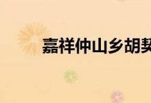 嘉祥仲山乡胡契山小学的地址在哪