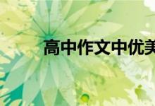 高中作文中优美段落的摘抄与整理