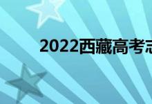 2022西藏高考志愿填报指南及技巧
