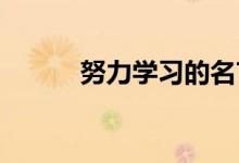 努力学习的名言 努力工作的名�
