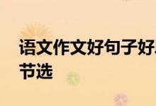 语文作文好句子好段落节选 高考作文好段落节选